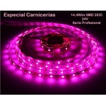 Tira LED Flexible 24V 14,4W/mt 180 Led/mt SMD 3528 IP20 Especial Carne Freca, Serie Profesional, venta por metros Tira LED Flexible 24V 14,4W/mt 180 Led/mt SMD 3528 IP20 Especial Carne Freca, Serie Profesional, venta por metros